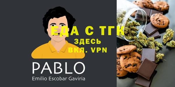дмт Ельня