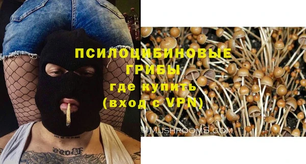 jwh Елизово