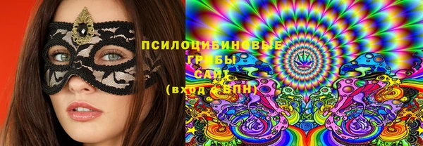 дмт Ельня