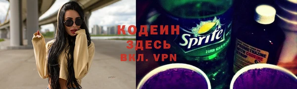 дмт Ельня