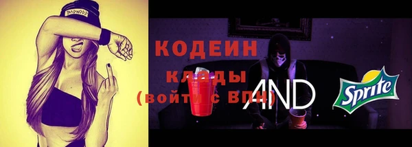 стаф Елабуга