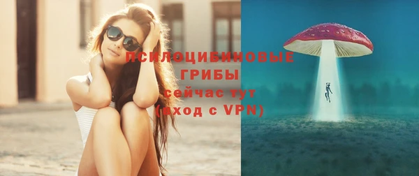 дмт Ельня