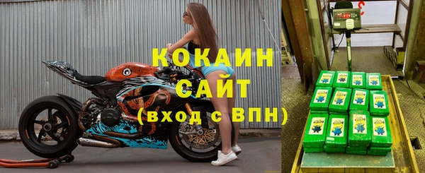 стаф Елабуга
