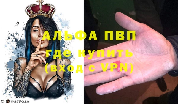дмт Ельня