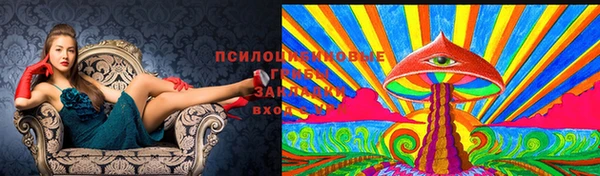 дмт Ельня