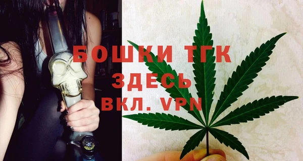 стаф Елабуга
