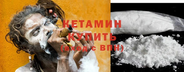 дмт Ельня