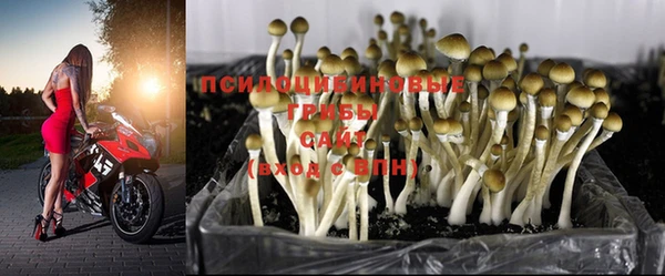 стаф Елабуга