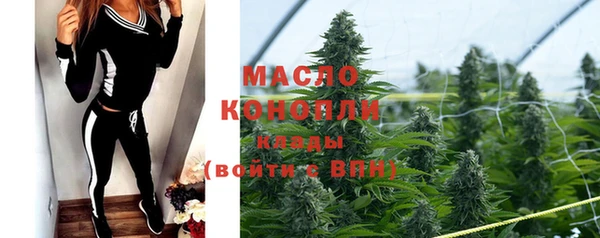 дмт Ельня
