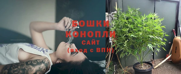 стаф Елабуга