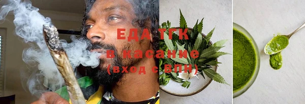 дмт Ельня